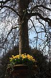 122-Hyde Park,6 aprile 2010